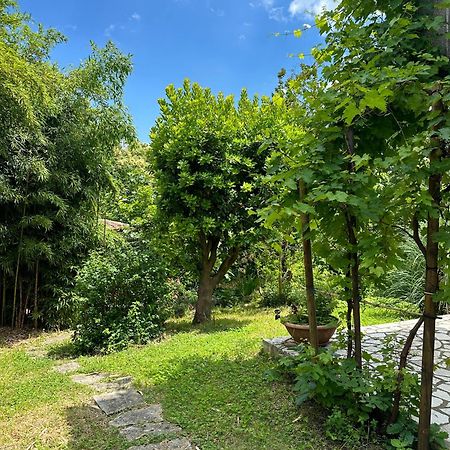 Secret Garden House Apartman Lovran Kültér fotó